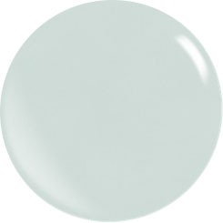 Color Acryl Powder N110/56 gr.